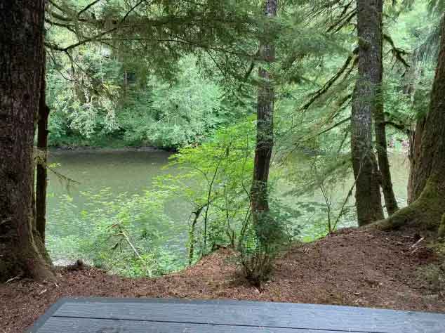 Local Activities from our Sol Duc River Campground