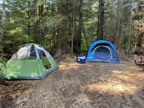 Dawley's River Camping Grounds